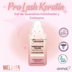 Monodosis keratina melania x2